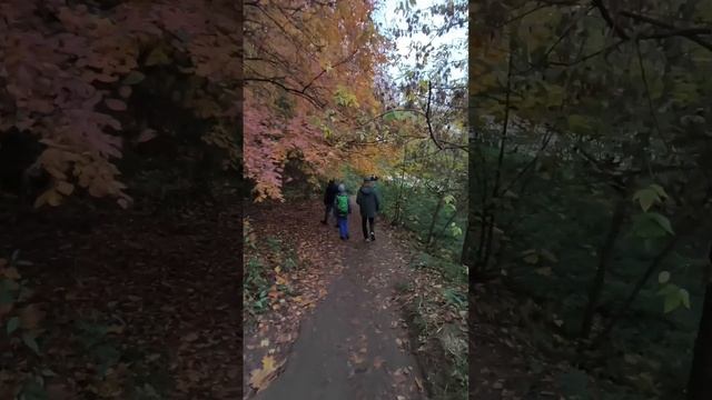 1000021371.mp4