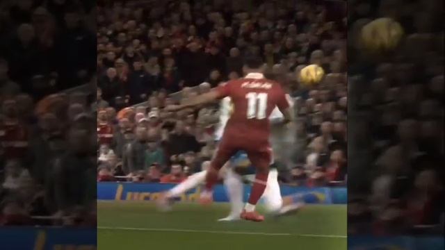 1000033818.mp4