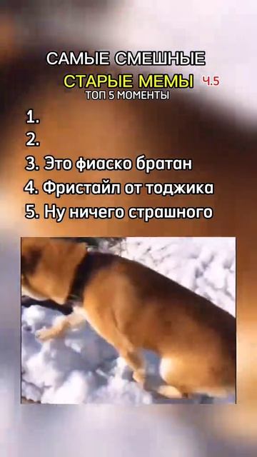 Смех до слез | старые мемы