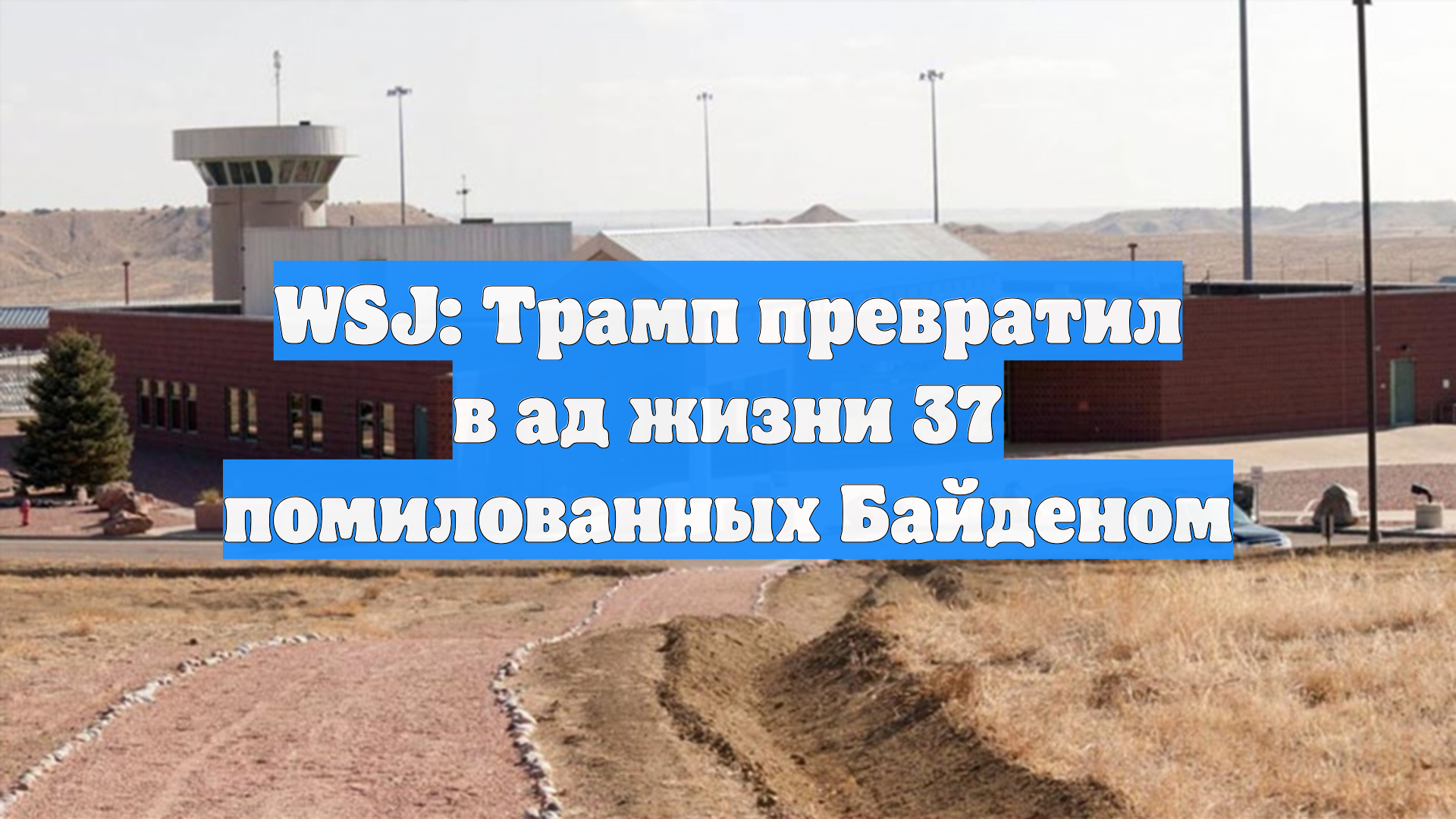 WSJ: Трамп превратил в ад жизни 37 помилованных Байденом