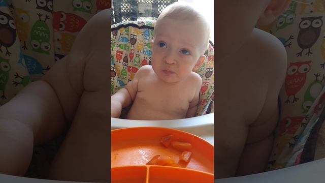 Рома кушает хурму, 15:20, 13.10.2025