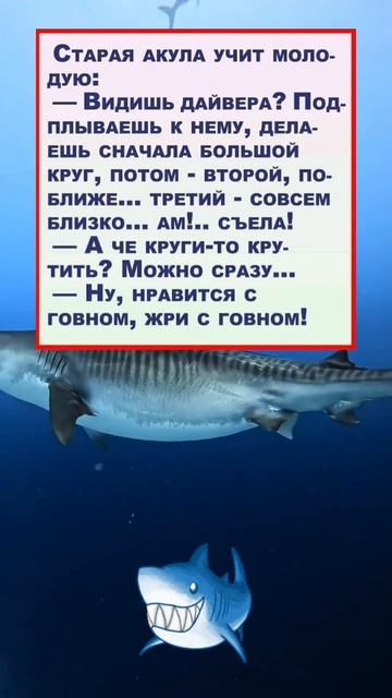 Умные акулы )