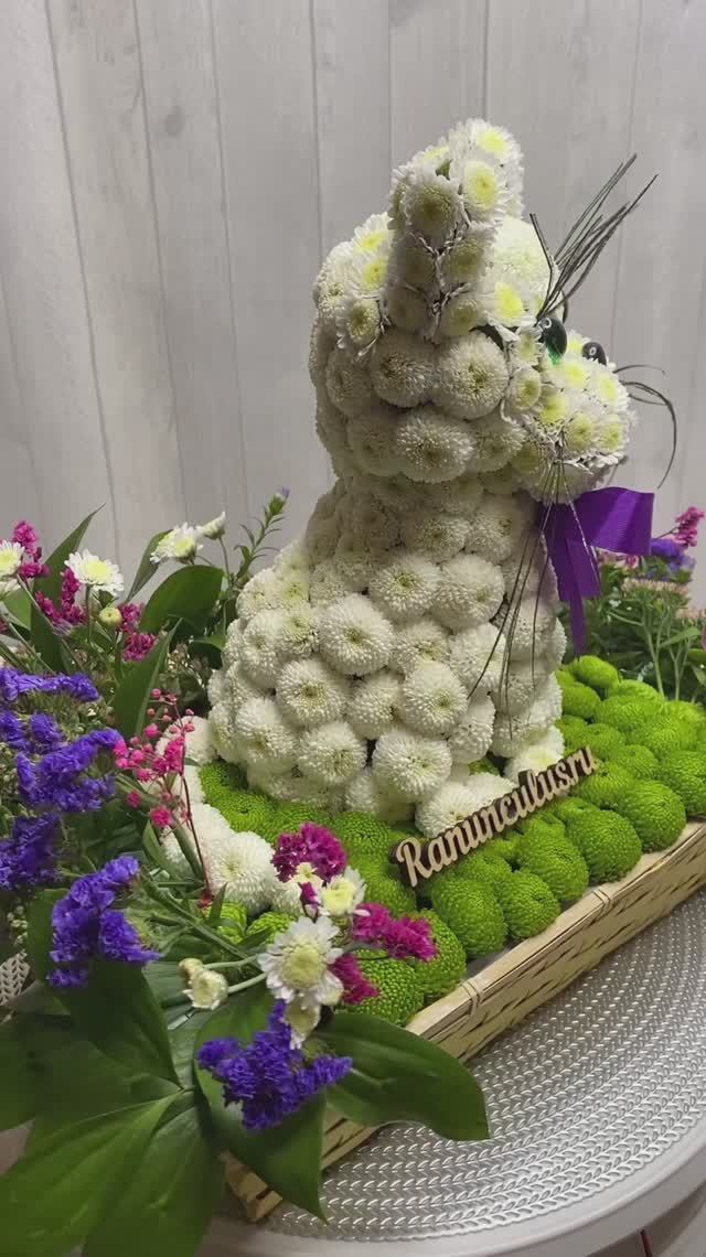 Кошечка из живых цветов