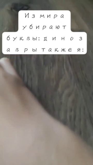 хахахахаха