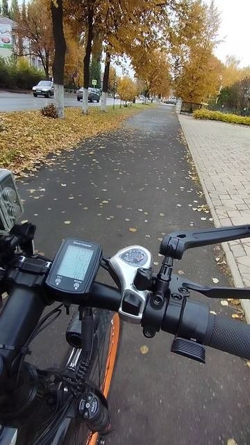 Велопоездка осенью днем