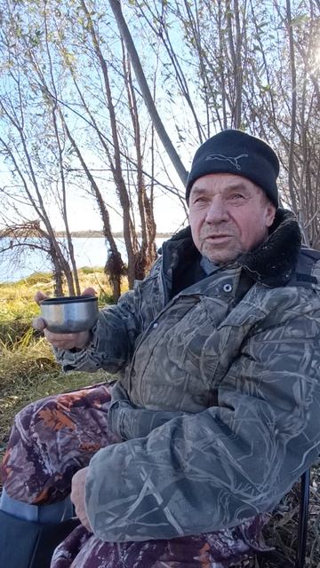 Ни хвоста ни чишуи! 😁