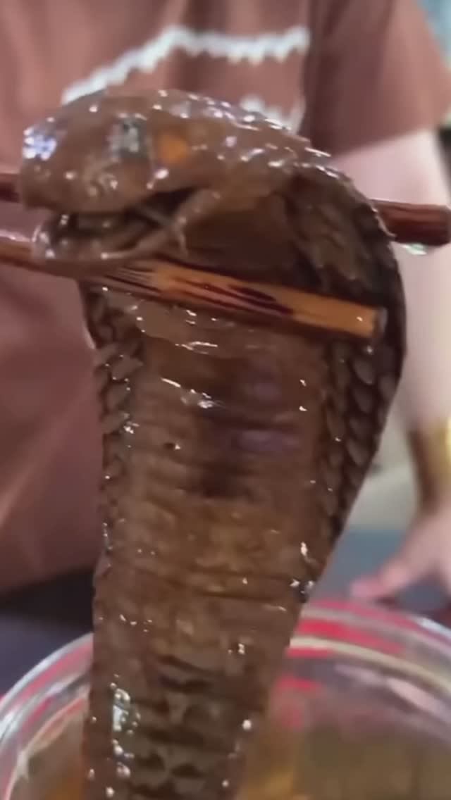 Вино из змей