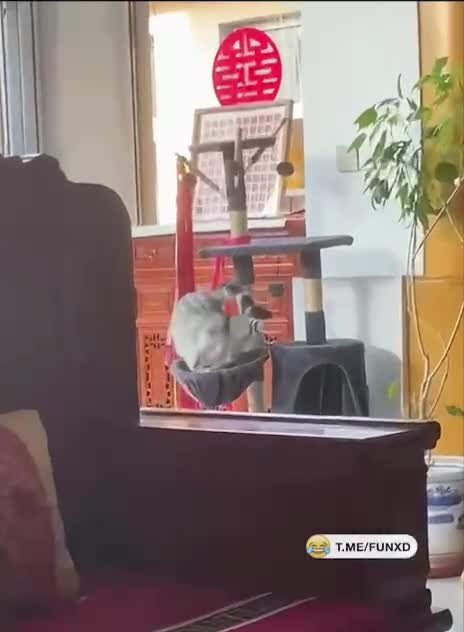 Слегка переел😅