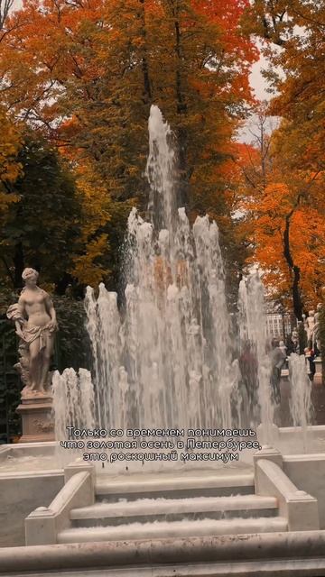 Золотая осень в Питере , чувствуется как роскошный максимум #shorts