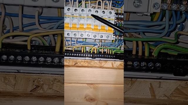 1000037088.mp4 Собака смотрит на монтаж электропроводки в эщите в доме А-фрейм