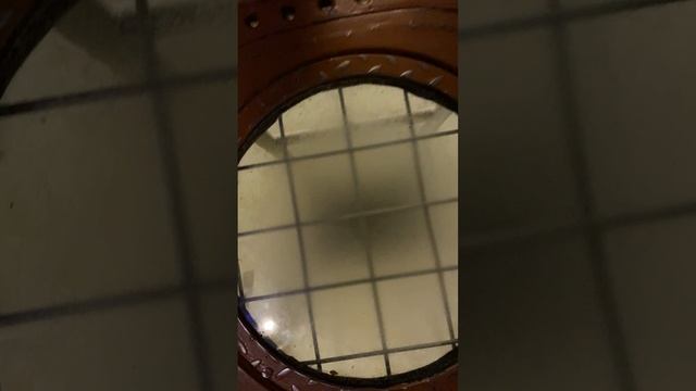 По морям по волнам.