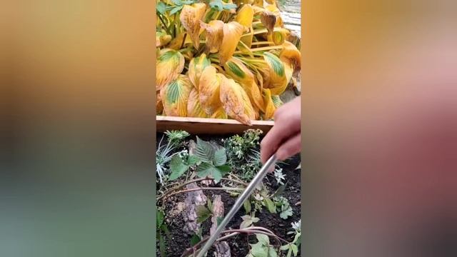 Бобров Максимкина Ксения