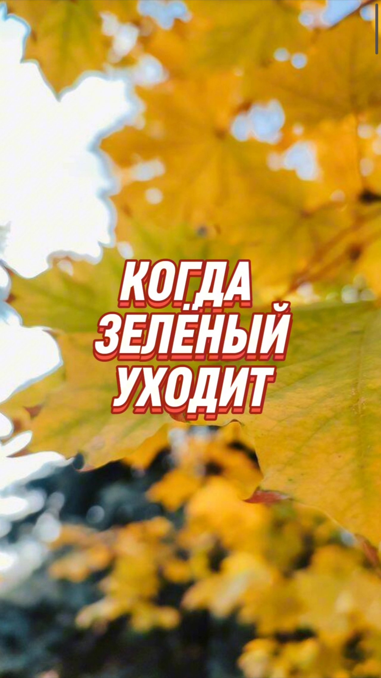 🍁Жёлтый — это просто зелёный, который научился отпускать