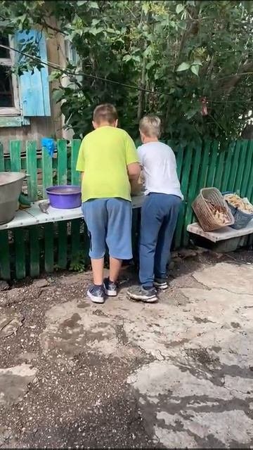 большие грибочки