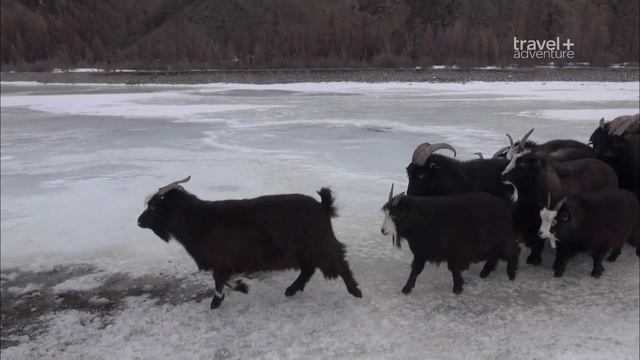 Самые опасные путешествия. Монголия