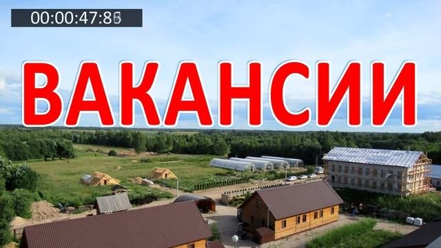 БЕССМЕРТНИК продлевает жизнь восстанавливает печень почки желчный пузырь работу ЖКТ и