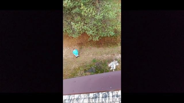 Крыша сделана. Я на крыше. СПАСИТЕ!!! Снимите.