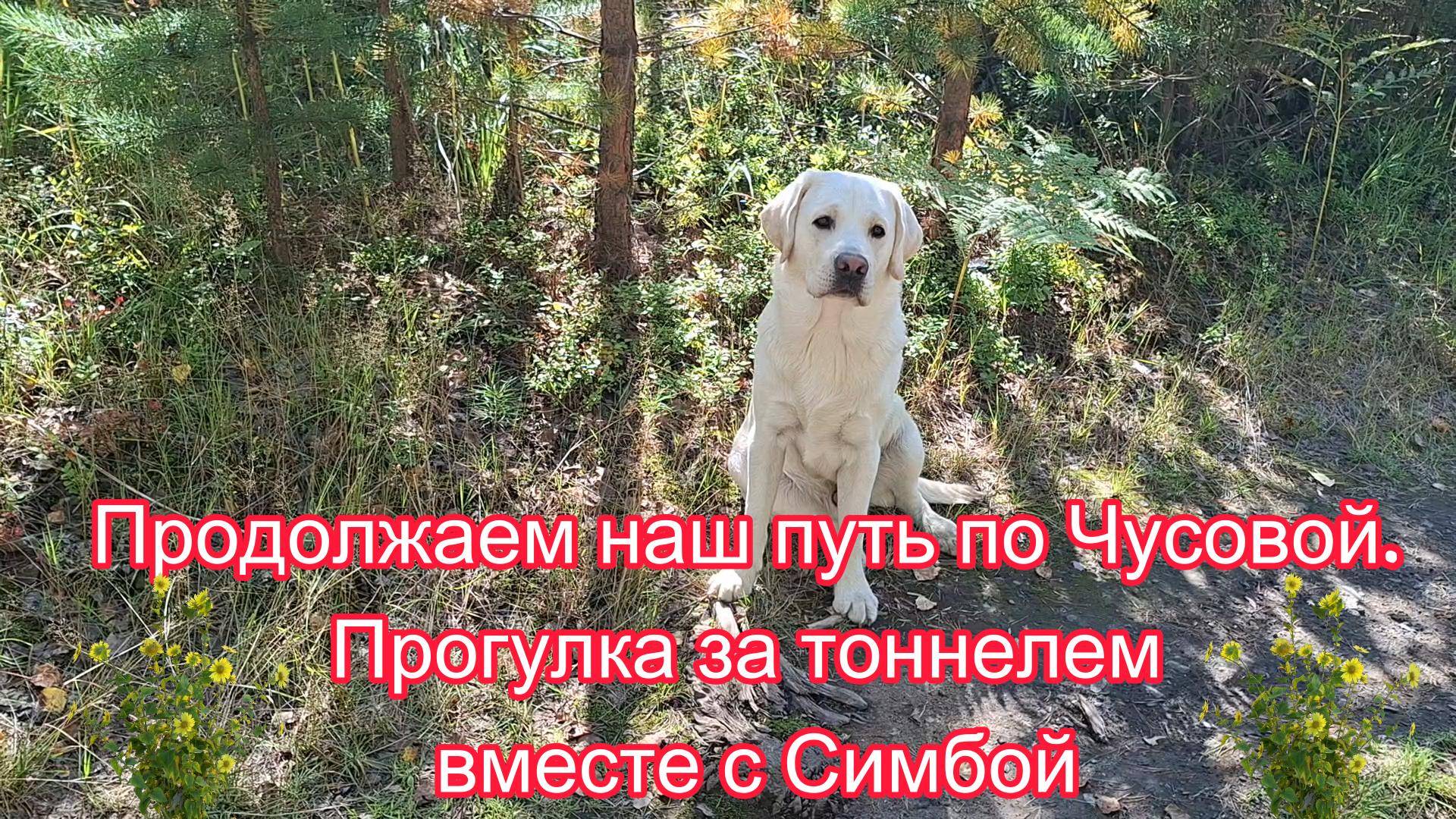 Продолжаем наш путь по Чусовой. Прогулка за тоннелем вместе с Симбой