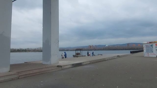 Татышев-парк. Вантовый мост .Утки.Красноярск
