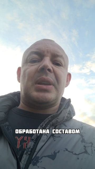 Спор: гипсовая штукатурка на влагостойкие ПГП