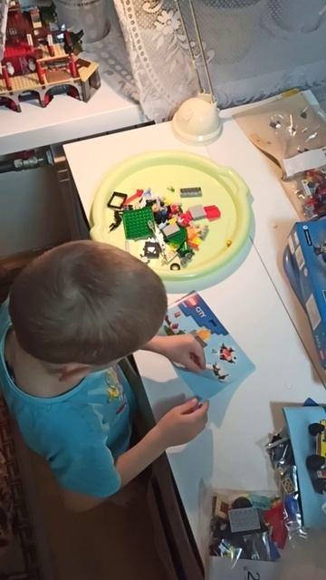 Обзор Lego 60319