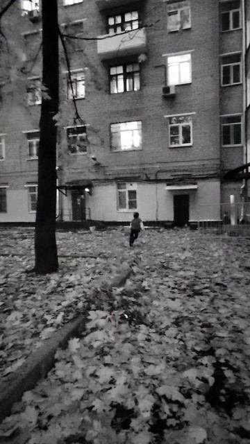 Логика Компота из трёх котов 👏👍