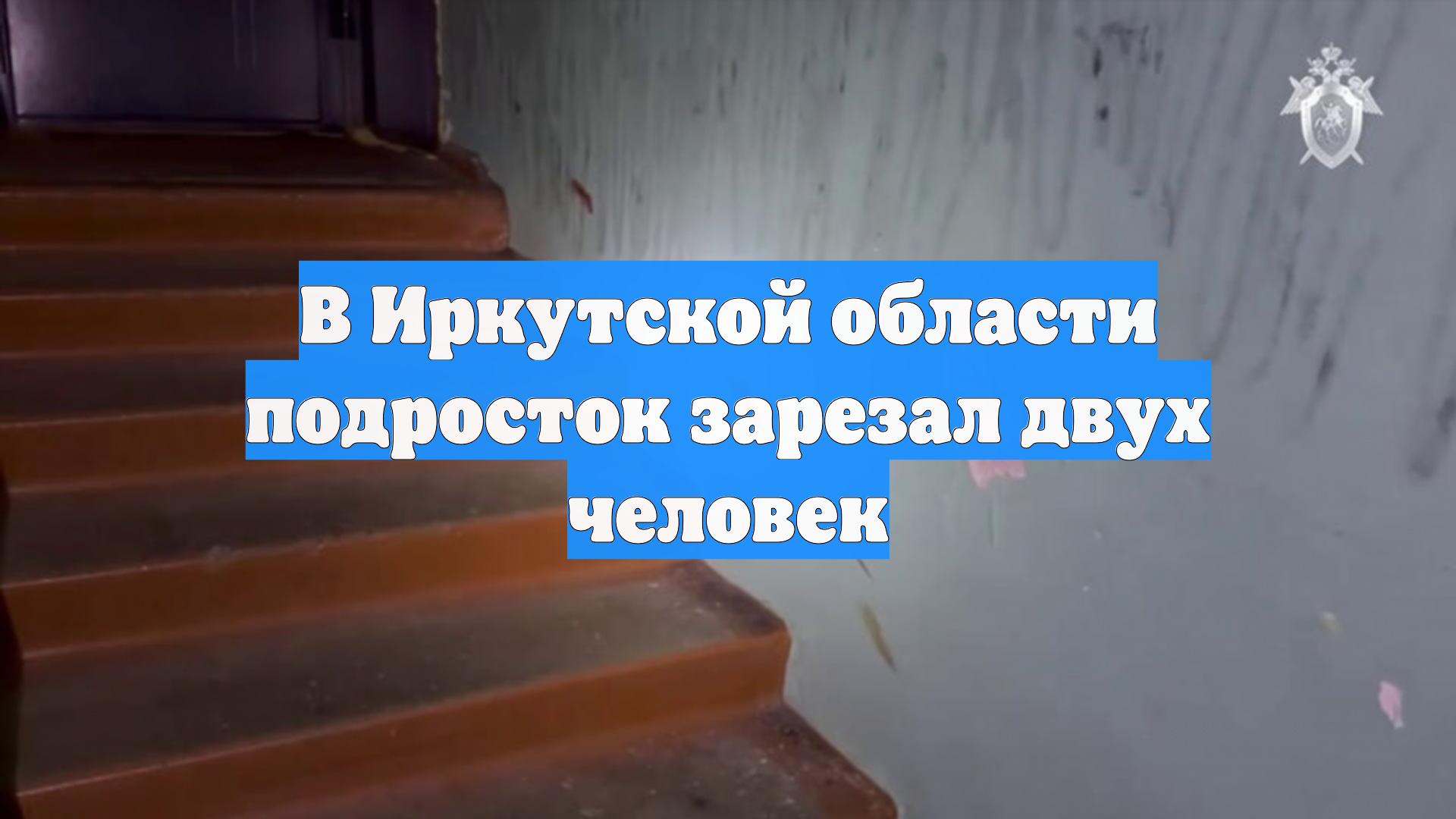 В Иркутской области подросток зарезал двух человек