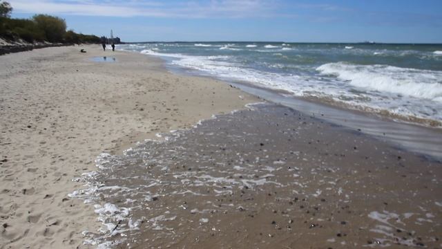 Уникальные места России. Куршская коса!