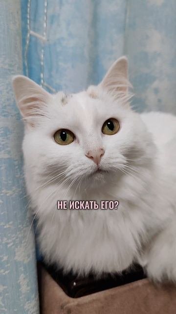 Белочка обнаружила записку😳