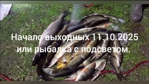 Начало выходных осень 11.10.2025 или рыбалка с подсветом.