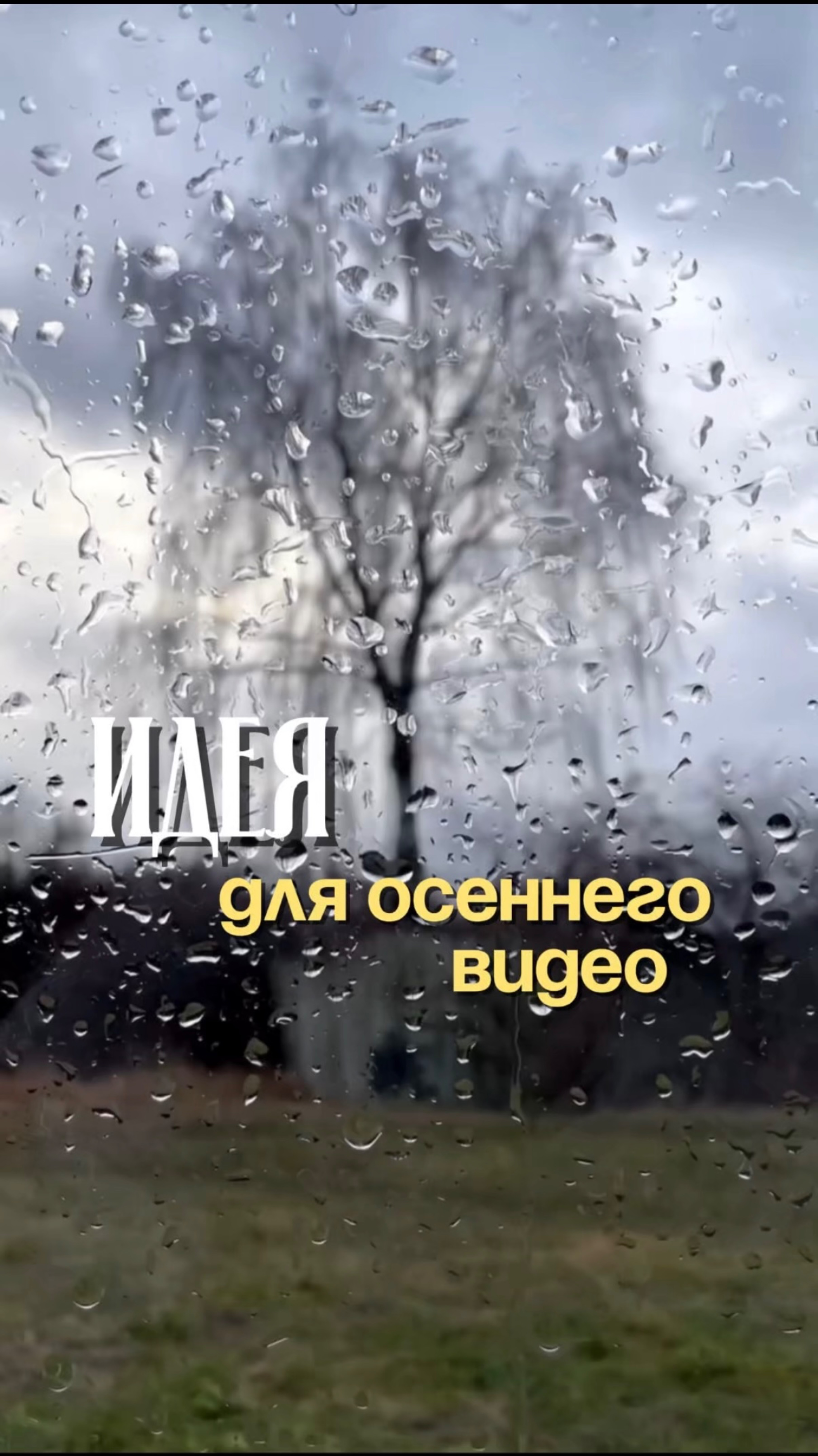 Идея для осеннего видео