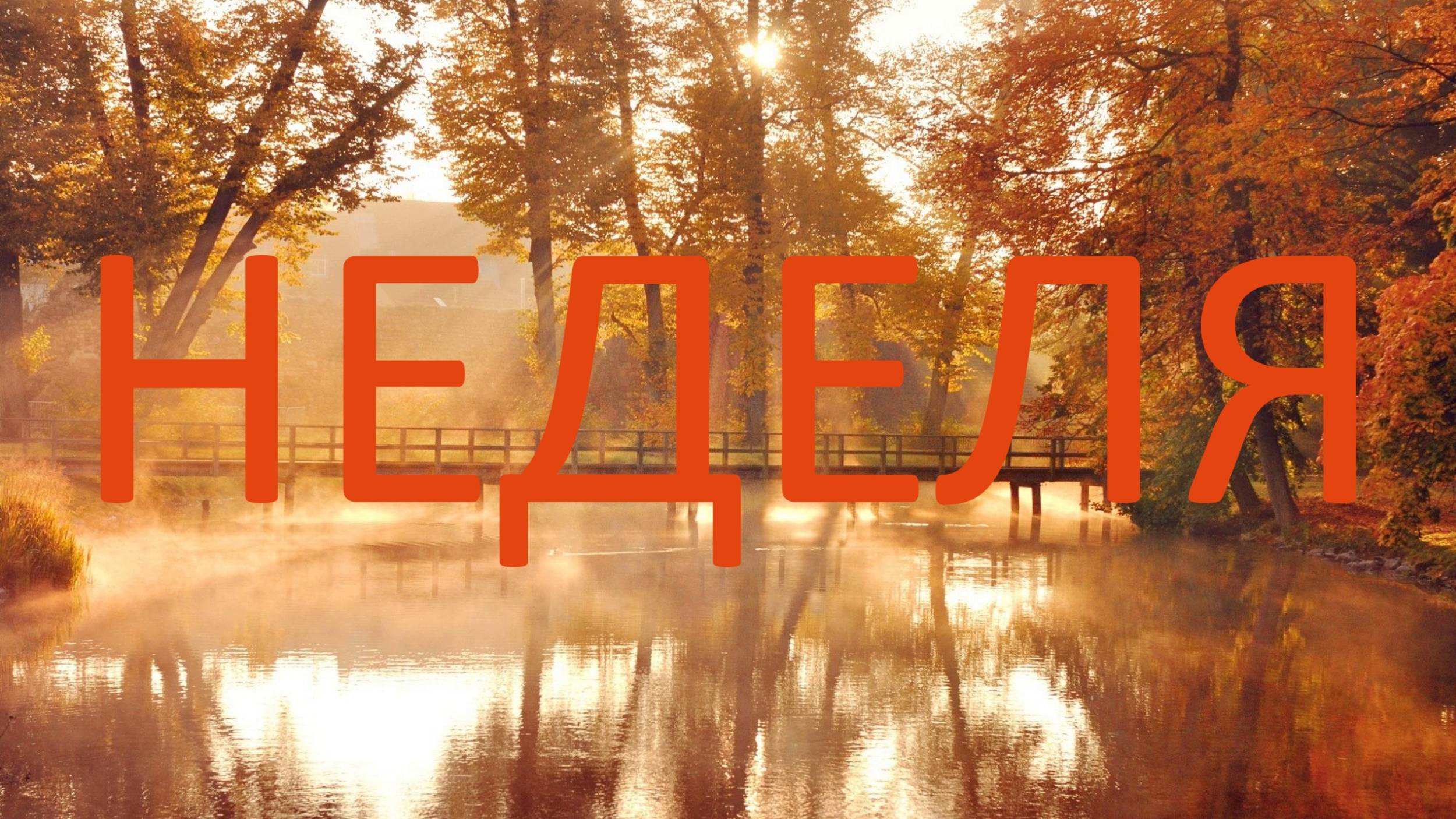 ⭐ ПРОГНОЗ НА НЕДЕЛЮ С 13.10.2025 ПО 19.10.2025 ⭐ Контакты Floransia@yandex.ru