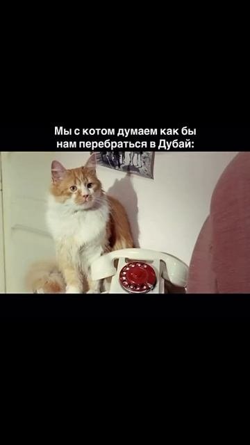 Ипотека в Дубай 4% для россиян🔥  #недвижимостьдубай #квартирадубай #риэлтордубай