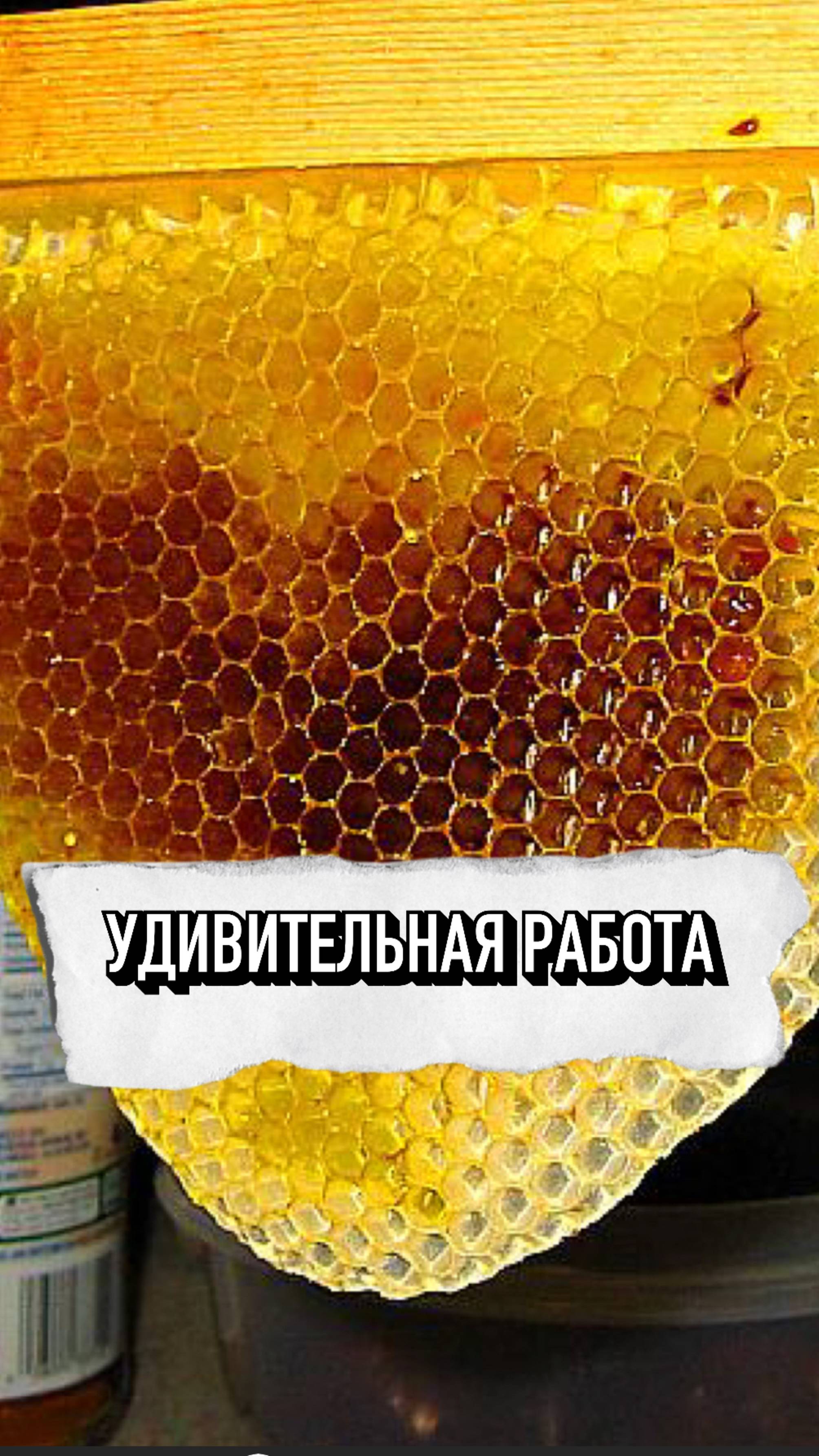 Удивительная Работа🔥