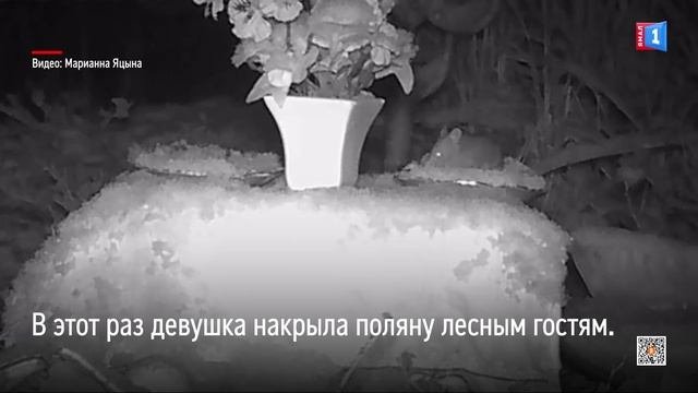 Ночная фотоохота и гостинцы жителям леса
