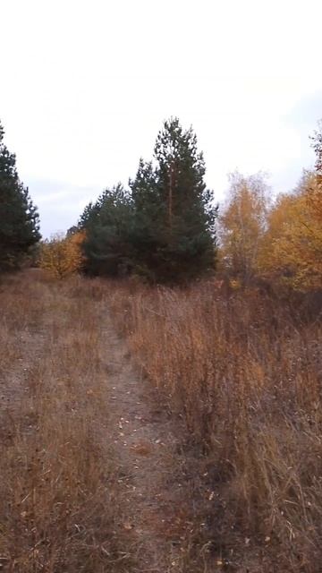 Золотая осень и дары природы