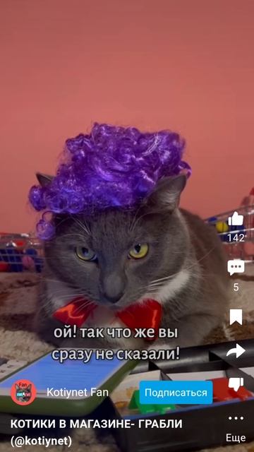 КОТИКИ-МАГАЗИН (kotynet)