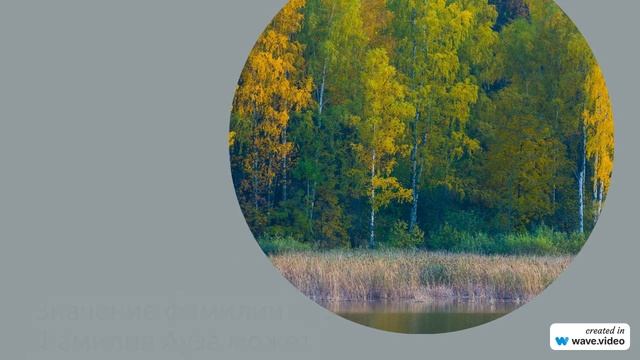 Фамилия Ауза: происхождение, история и склонение - все, что нужно знать о значении этого имени
