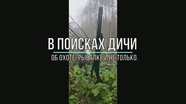 В поисках дичи.