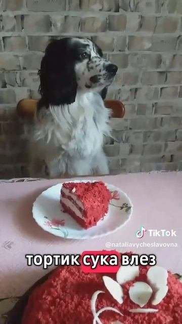 Стресс...)))