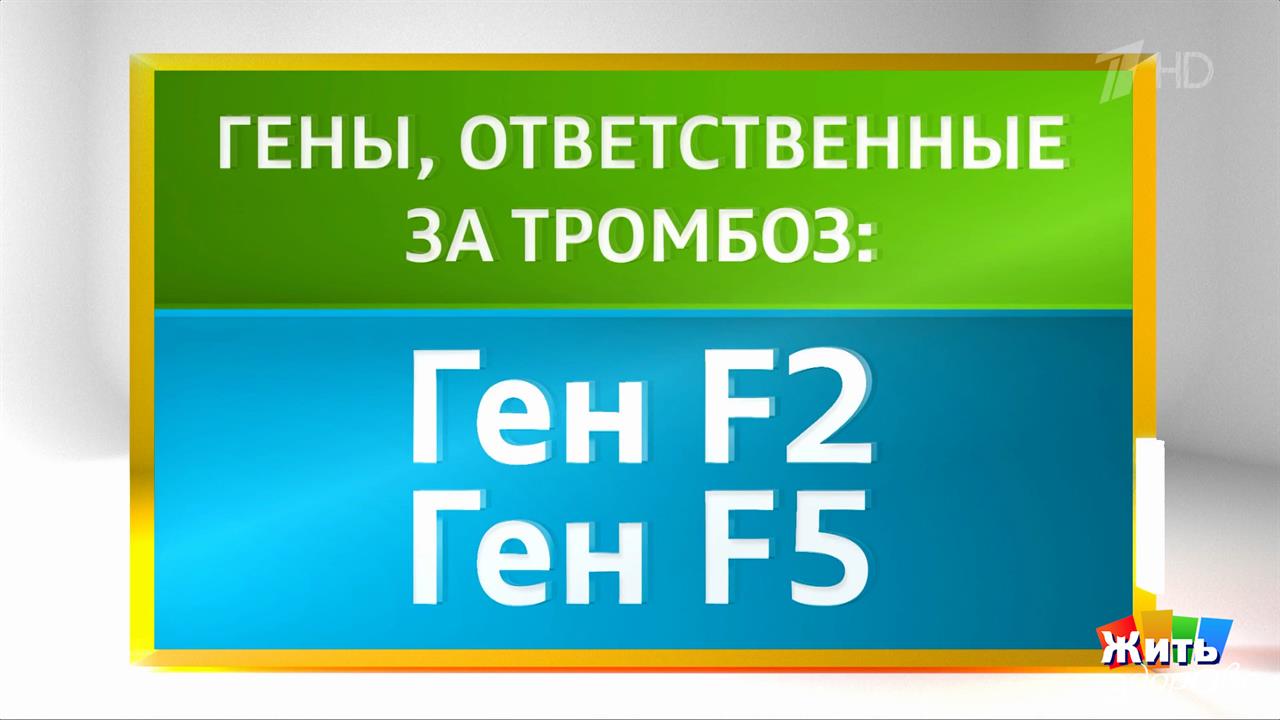 Чем опасны тромбы? Жить здорово! Фрагмент выпуска от 13.10.2025