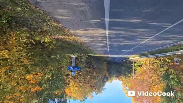 Отвага Рождествено