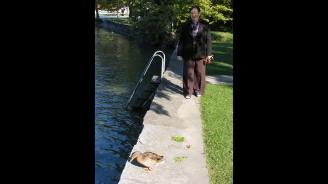 1000055267.mp4