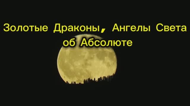 Золотые Драконы Ангелы Света об Абсолюте 30.08.2025г 125 Послание