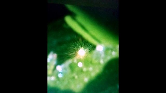 Библия и жизнь. Моя аудиокнига. Часть 9
