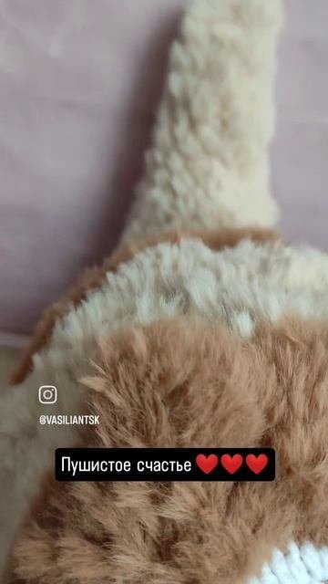 КОТЁНОК КРЮЧКОМ