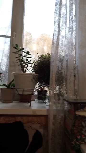 добро. завтрак 13.10.2025