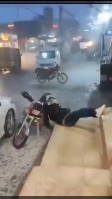 Прикольные видео