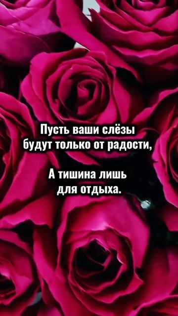 VID_20251012_222740_152.mp4