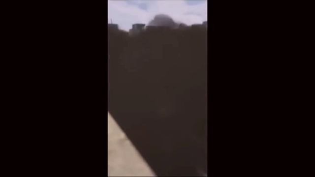 скибиди туалеты